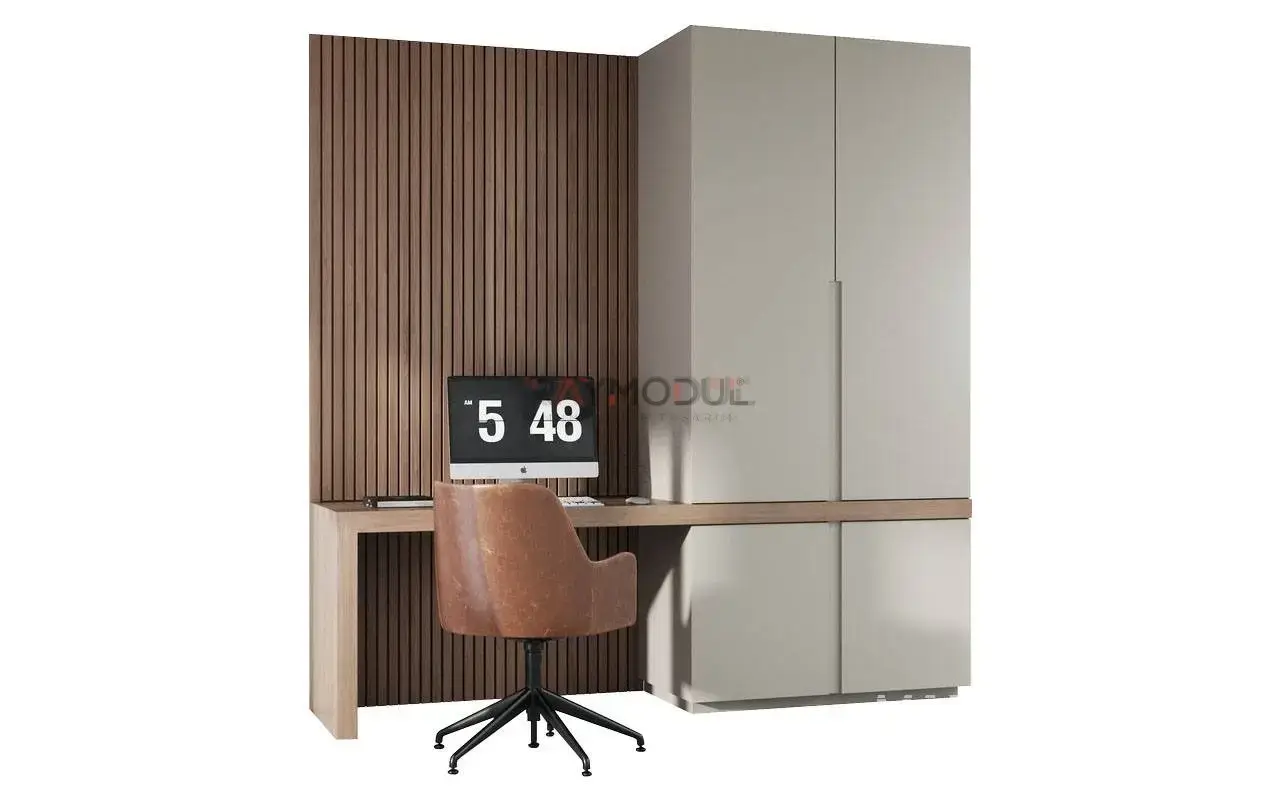 Çalışma Odası uygulaması 7, Raymodül