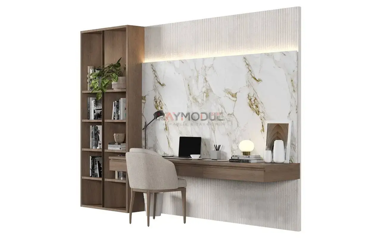 Çalışma Odası uygulaması 3, Raymodül