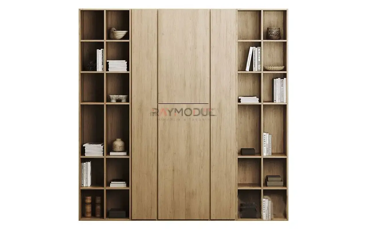 Kitaplık uygulaması 7, Raymodül