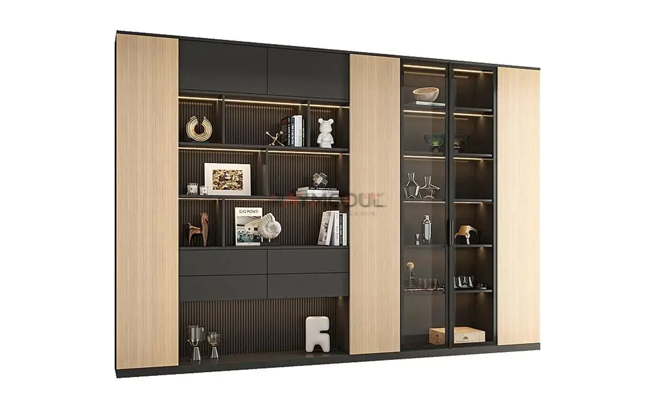 Kitaplık uygulaması 9, Raymodül