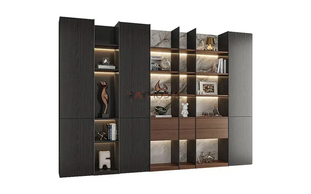 Kitaplık uygulaması 11, Raymodül