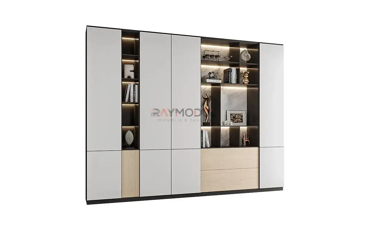 Kitaplık uygulaması 13, Raymodül