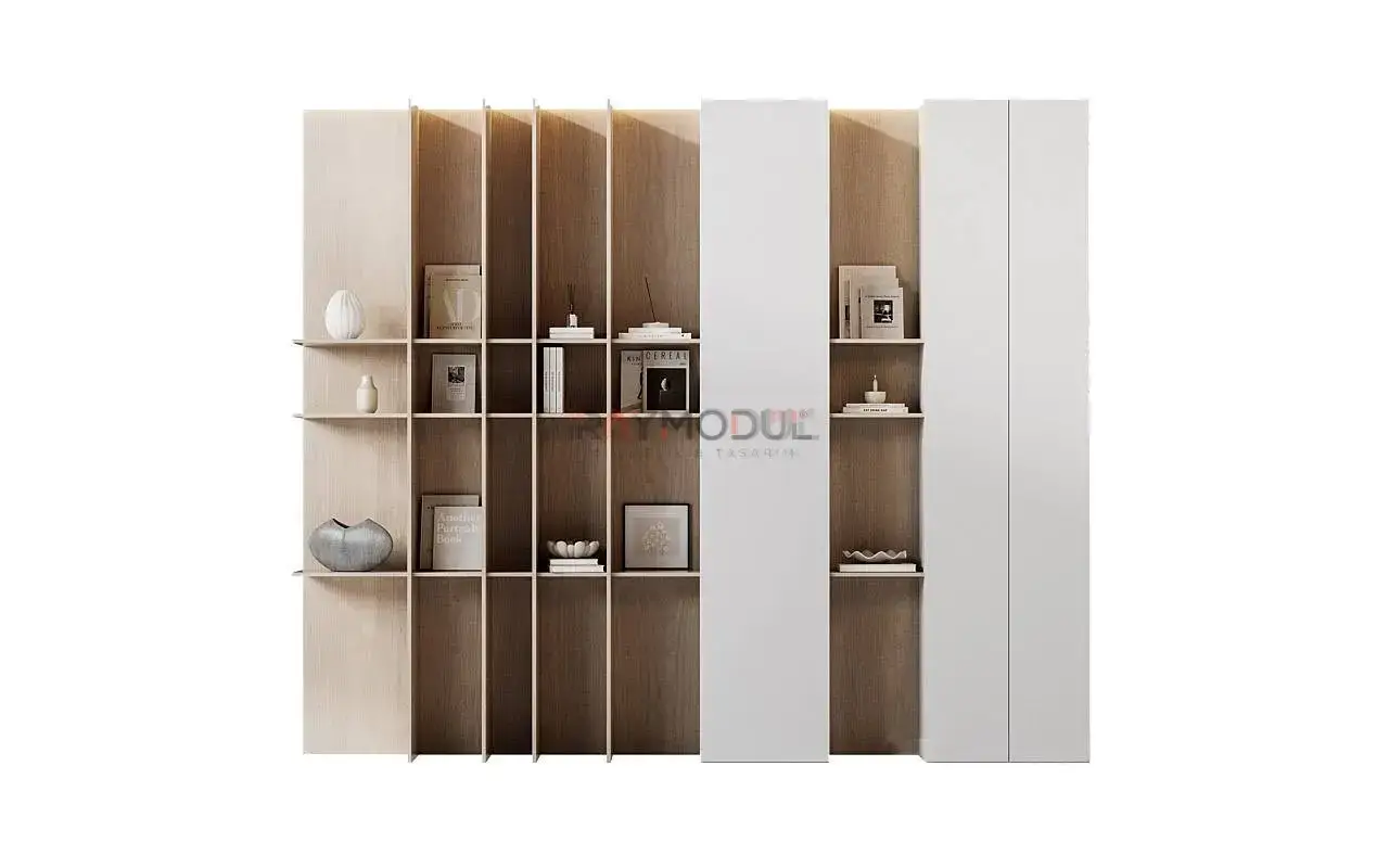 Kitaplık uygulaması 19, Raymodül