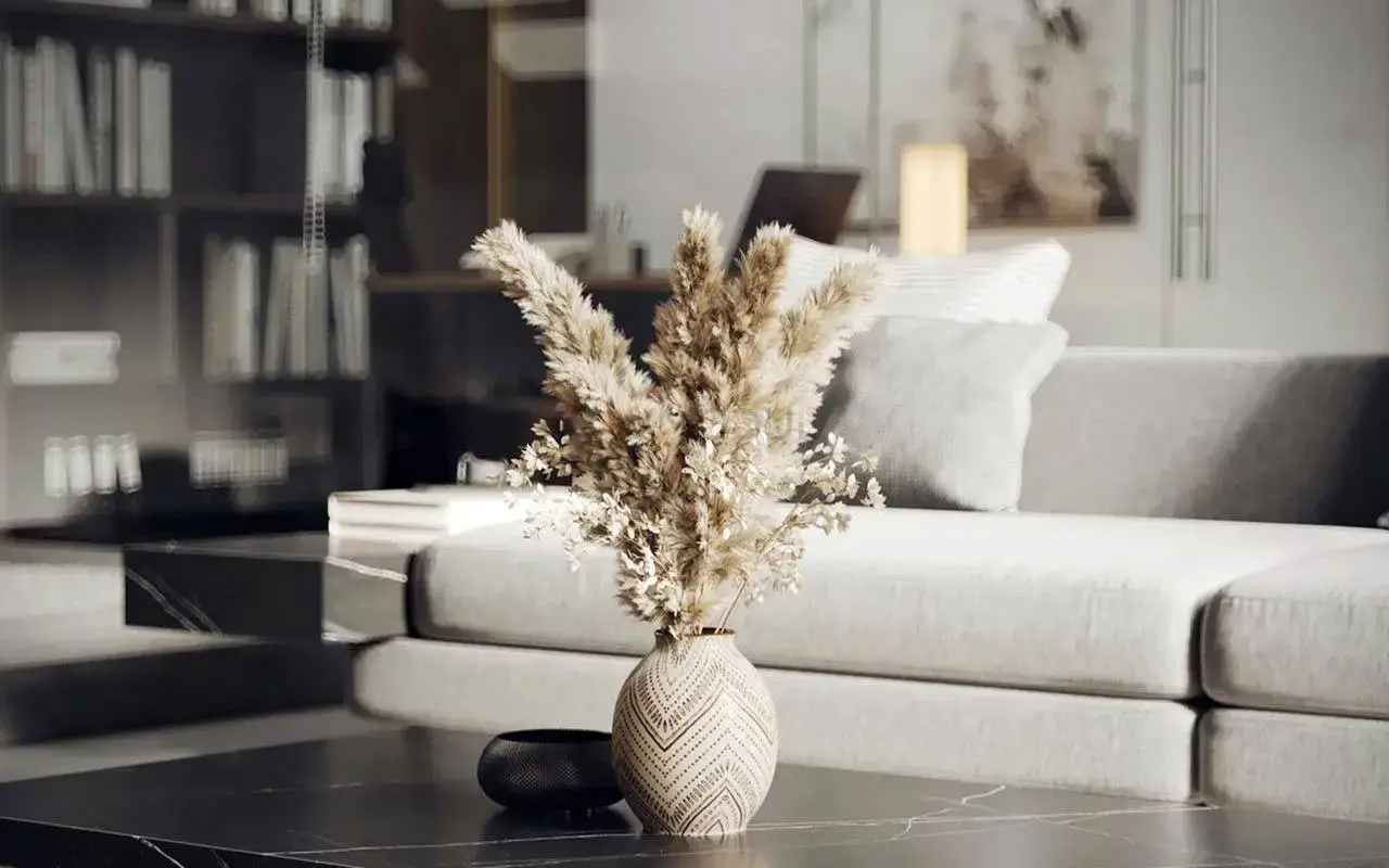 Konut Dekorasyonu uygulaması 12, Raymodül