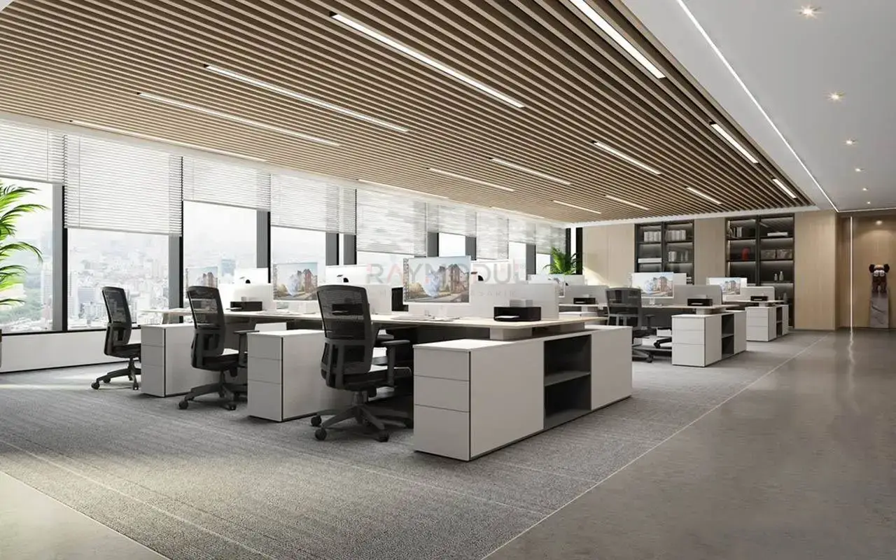 Ofis Dekorasyonu uygulaması 1, Raymodül