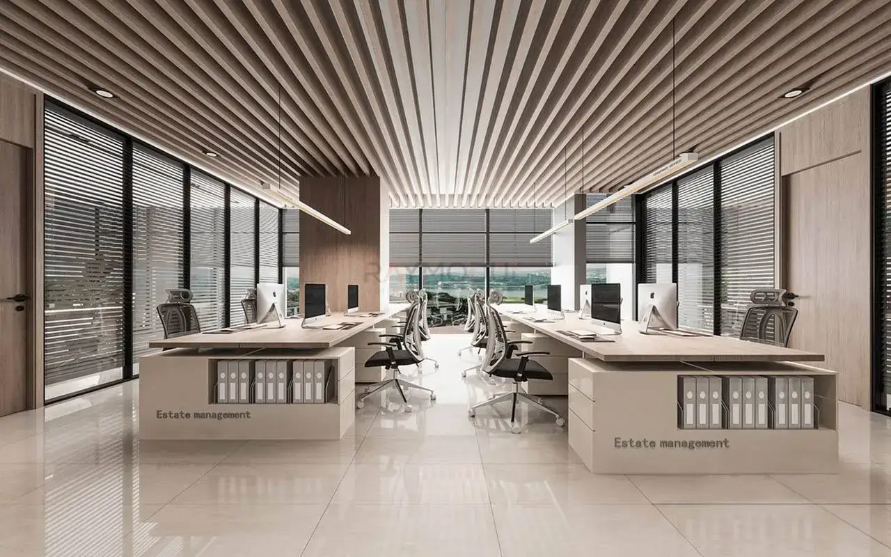 Ofis Dekorasyonu uygulaması 3, Raymodül