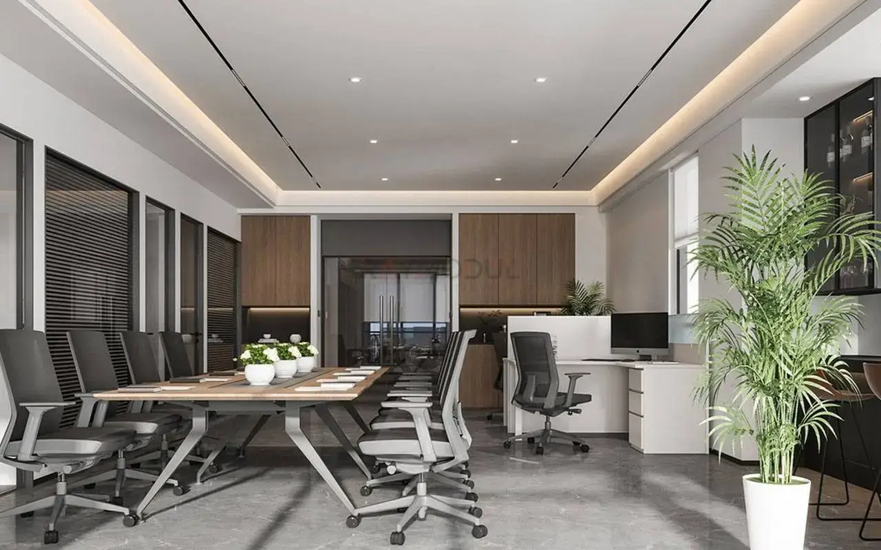 Ofis Dekorasyonu uygulaması 5, Raymodül