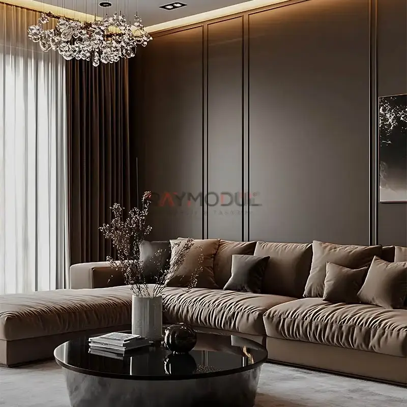 Salon & Yaşam Alanı uygulaması 1, Raymodül