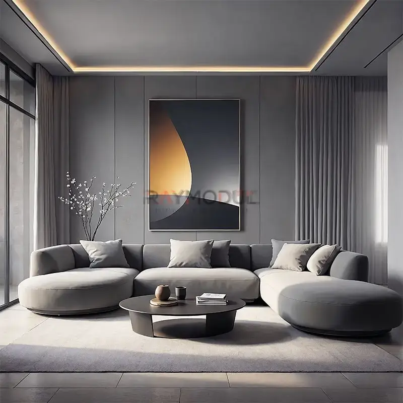 Salon & Yaşam Alanı uygulaması 16, Raymodül