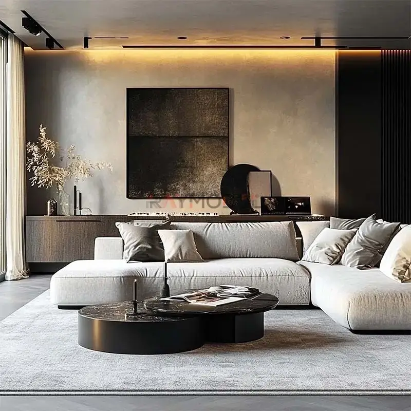 Salon & Yaşam Alanı uygulaması 21, Raymodül