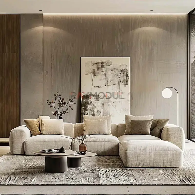 Salon & Yaşam Alanı uygulaması 6, Raymodül
