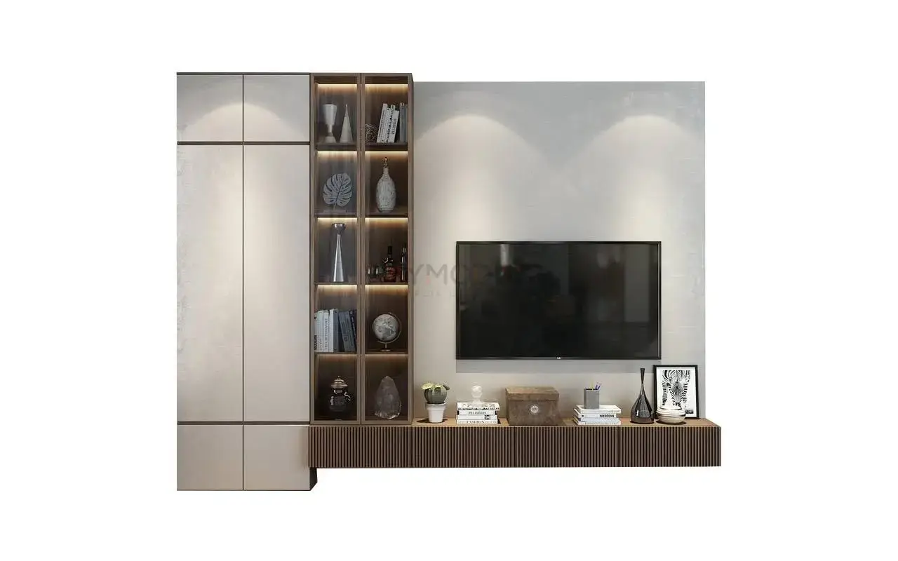 TV Ünitesi uygulaması 11, Raymodül