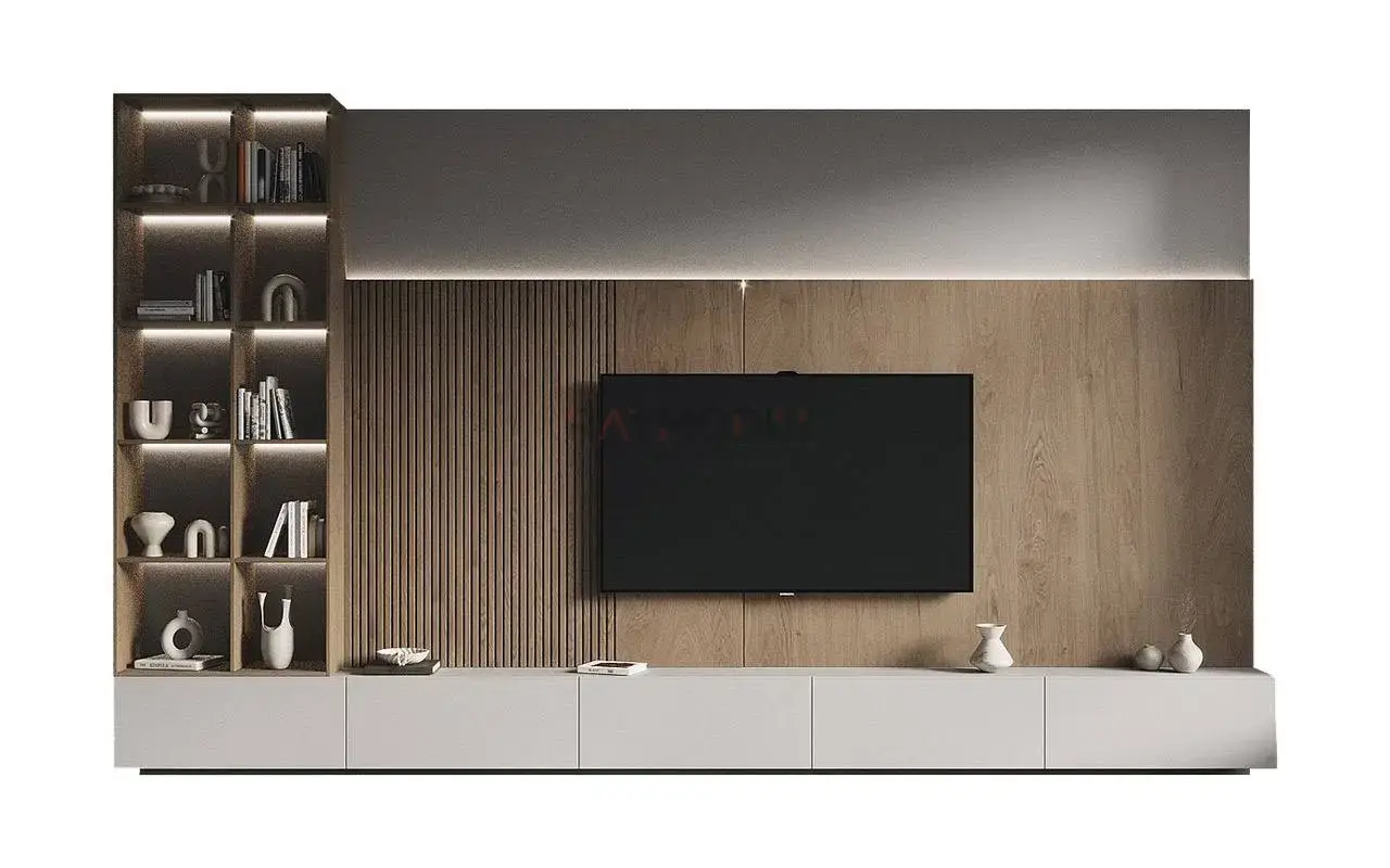 TV Ünitesi uygulaması 18, Raymodül