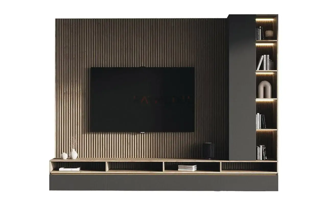 TV Ünitesi uygulaması 19, Raymodül