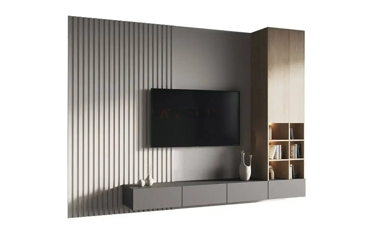 TV Ünitesi uygulaması 6, Raymodül